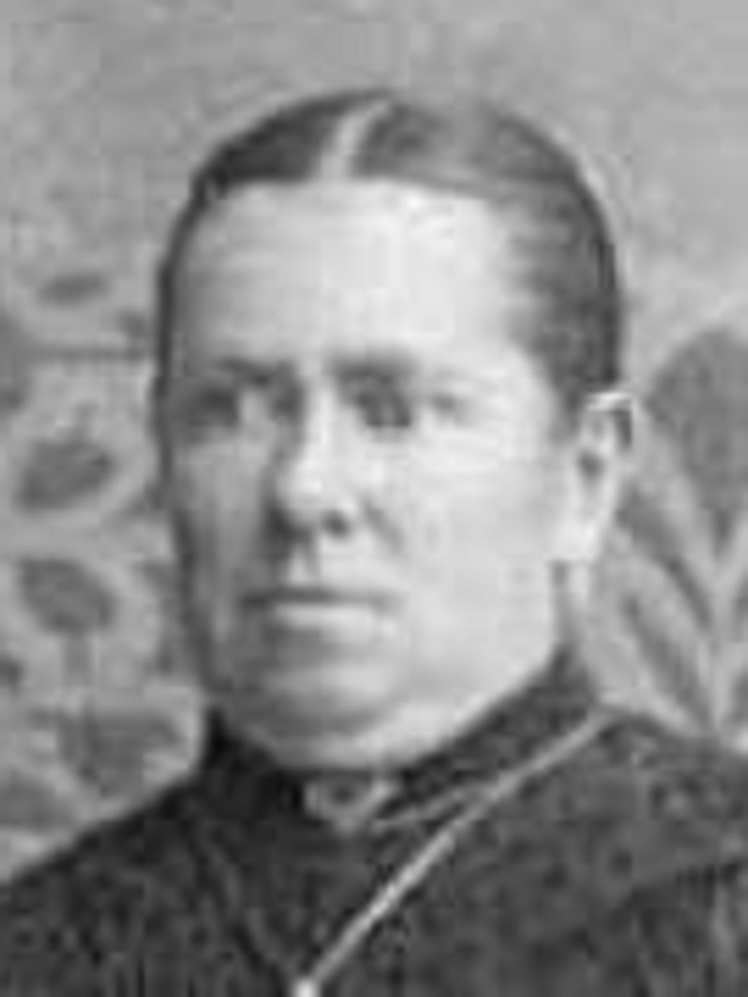 Merinda Knowles Melling (1837 - 1932) Profile
